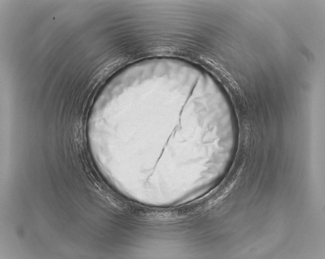 X0000115521121200912040923