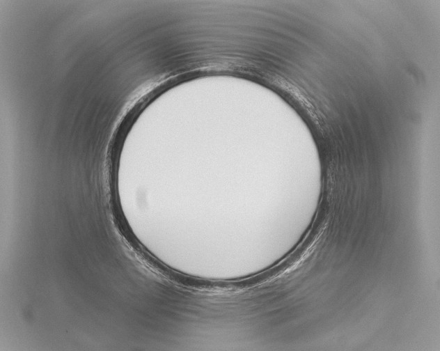 X0000115521122200912040923