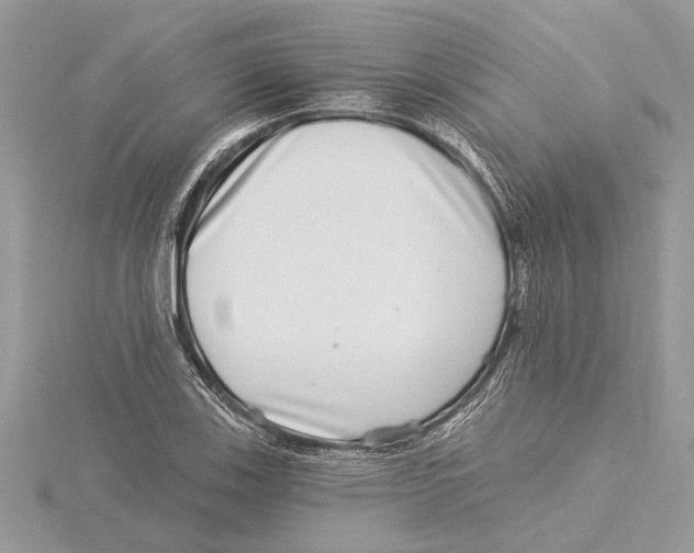 X0000115521123200912040923