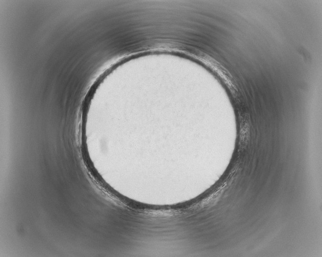 X0000115521126200912040923