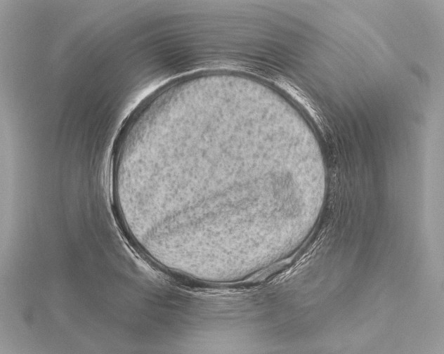 X0000115521127200912040923