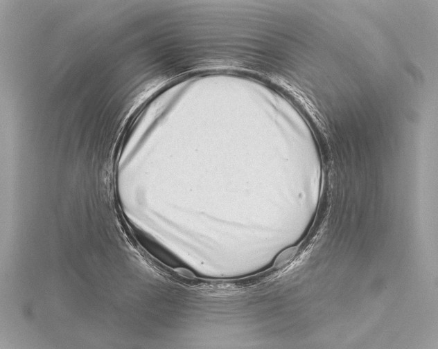 X0000115521129200912040923