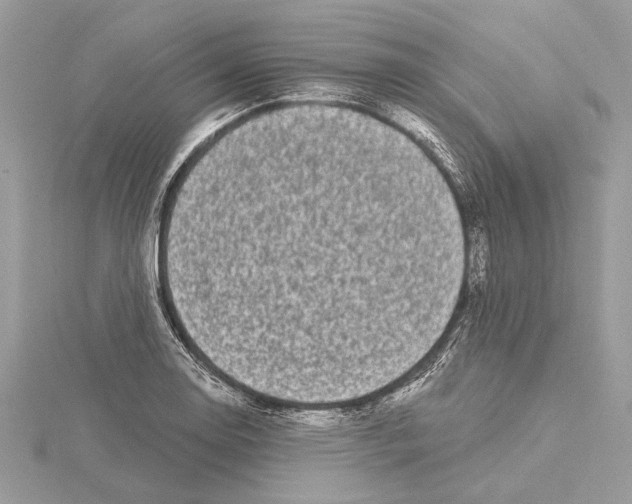 X0000115521130200912040923