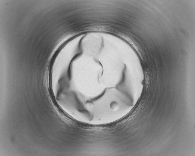 X0000115521131200912040923