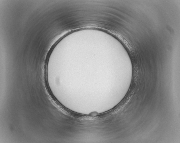 X0000115521134200912040923