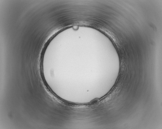 X0000115521135200912040923