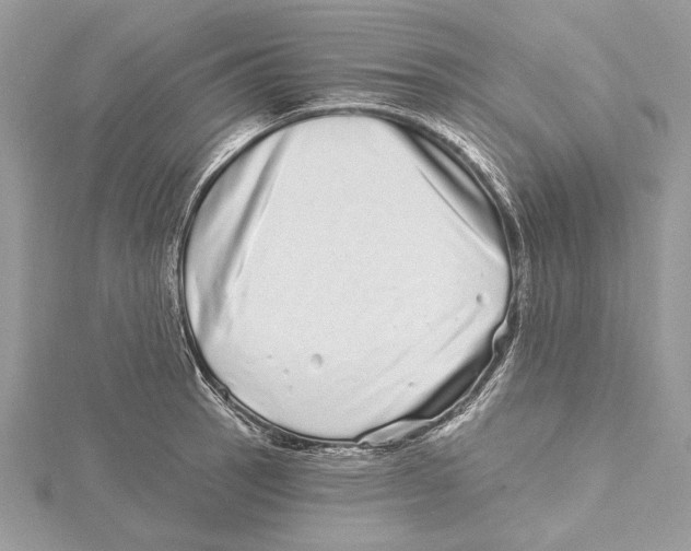 X0000115521137200912040923