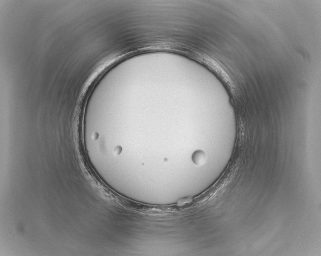 X0000115521138200912040923