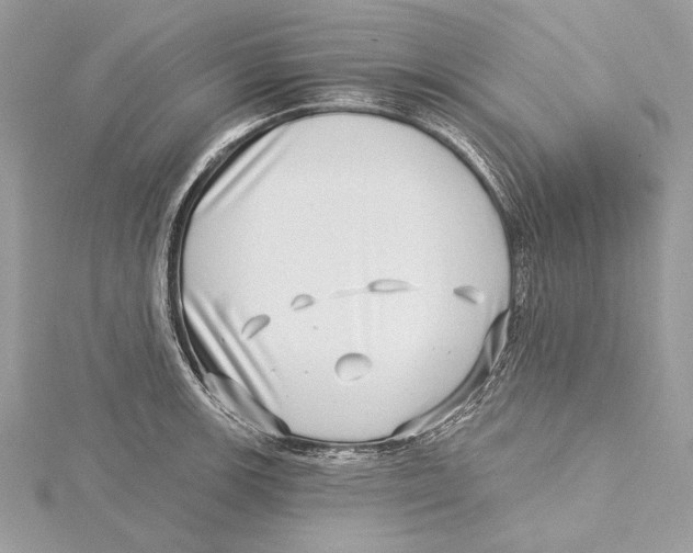 X0000115521139200912040923