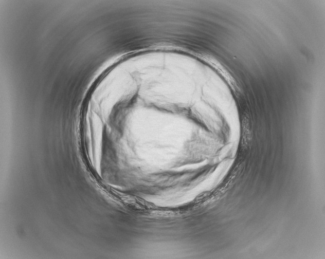 X0000115521142200912040923