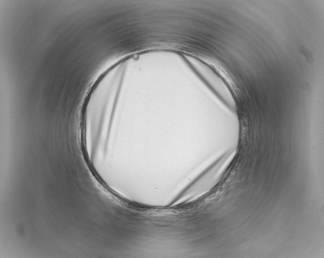 X0000115521143200912040923