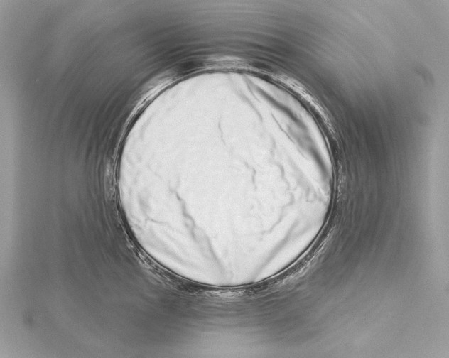 X0000115521145200912040923