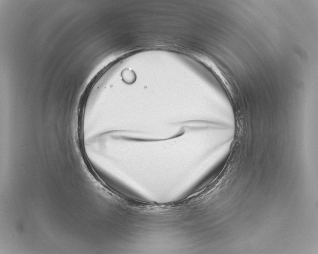 X0000115521147200912040923