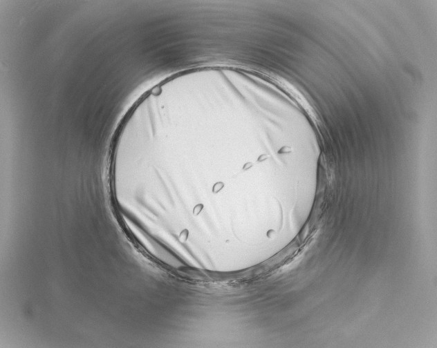 X0000115521149200912040923