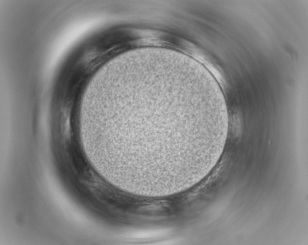 X0000115521150200912040923