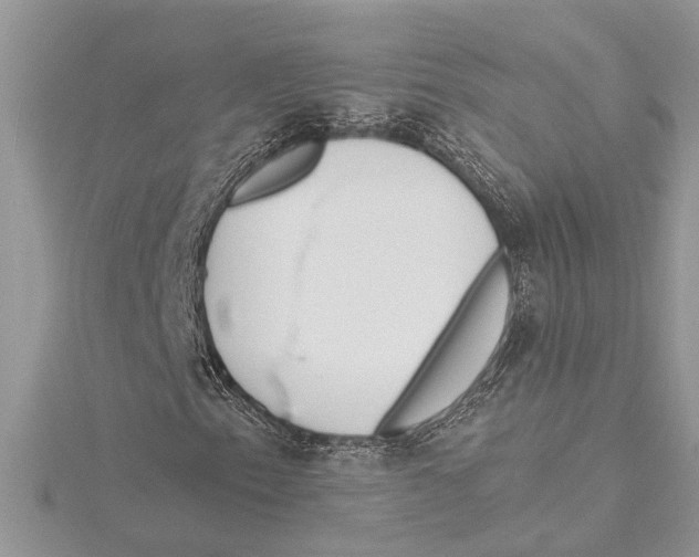 X0000115521153200912040923