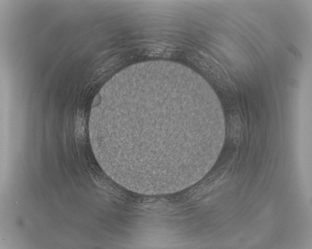 X0000115521154200912040923