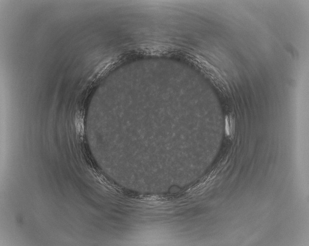 X0000115521155200912040923