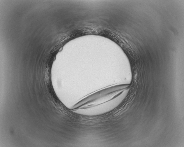 X0000115521156200912040923