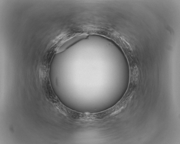 X0000115521157200912040923