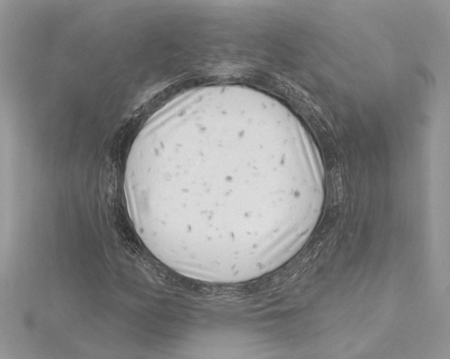 X0000115521158200912040923