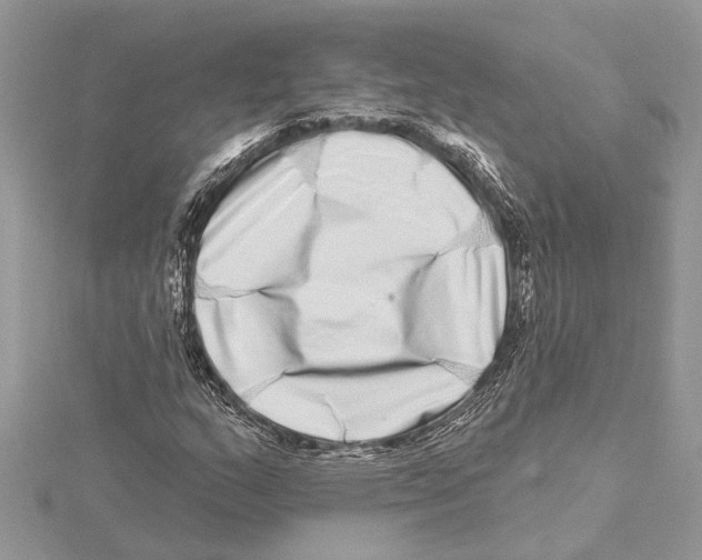 X0000115521159200912040923