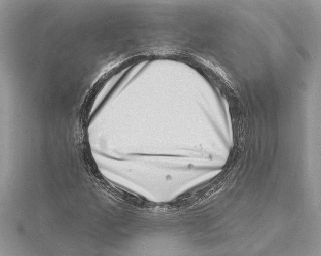 X0000115521160200912040923