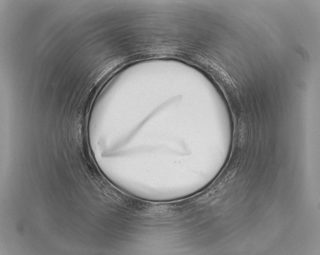 X0000115521162200912040923