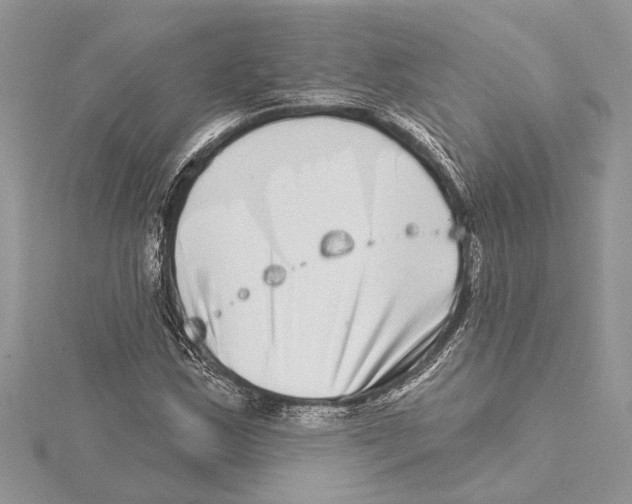 X0000115521163200912040923