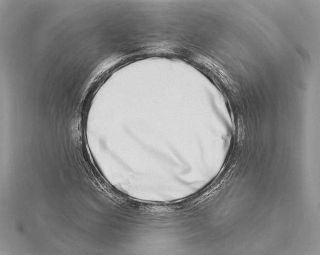 X0000115521164200912040923