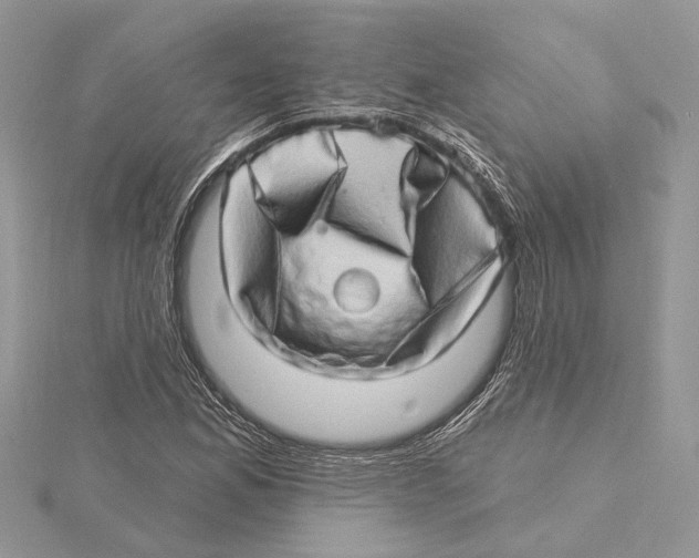 X0000115521165200912040923