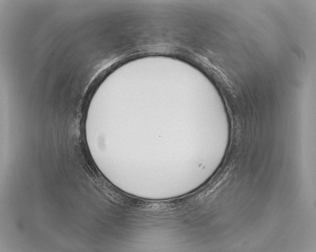 X0000115521166200912040923