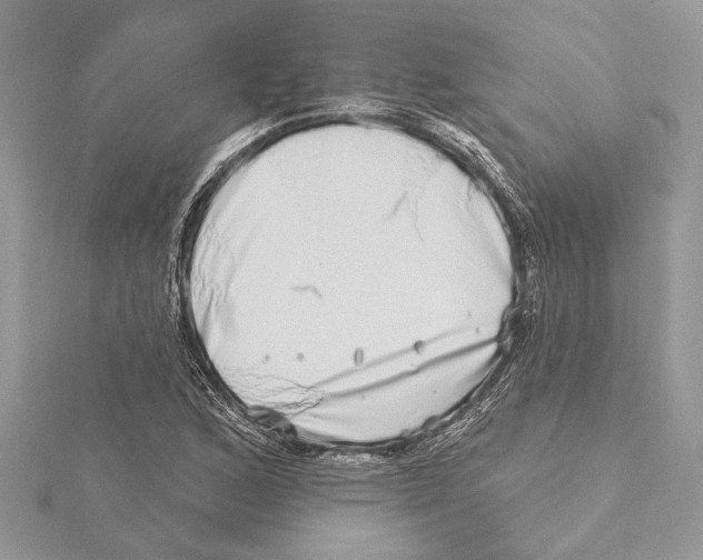 X0000115521168200912040922