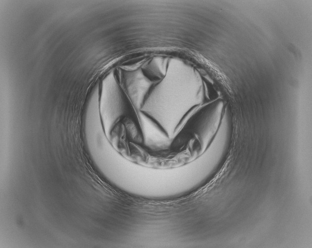 X0000115521169200912040922