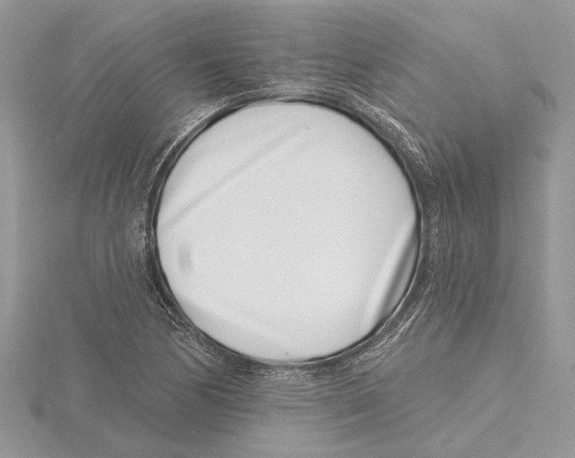 X0000115521170200912040922