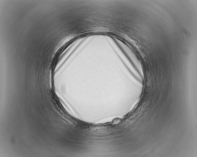 X0000115521171200912040922