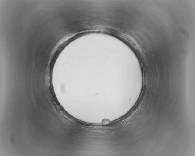 X0000115521172200912040922