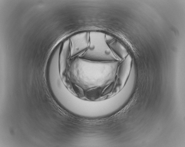 X0000115521173200912040922