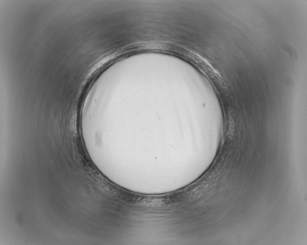 X0000115521174200912040922