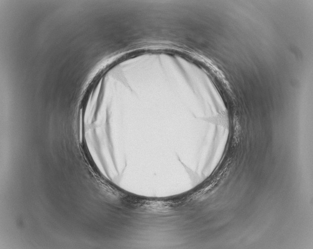 X0000115521175200912040922