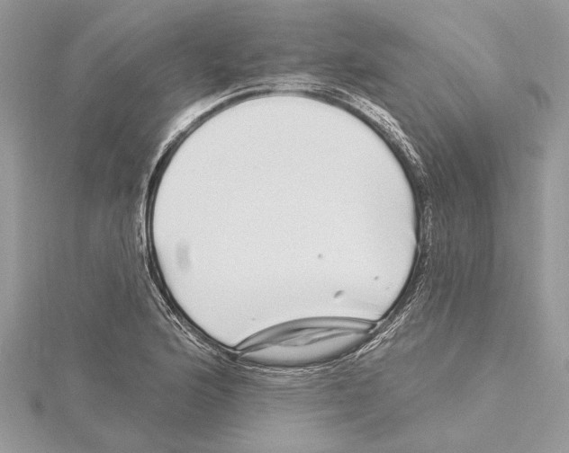 X0000115521176200912040922