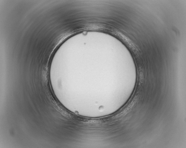 X0000115521178200912040922