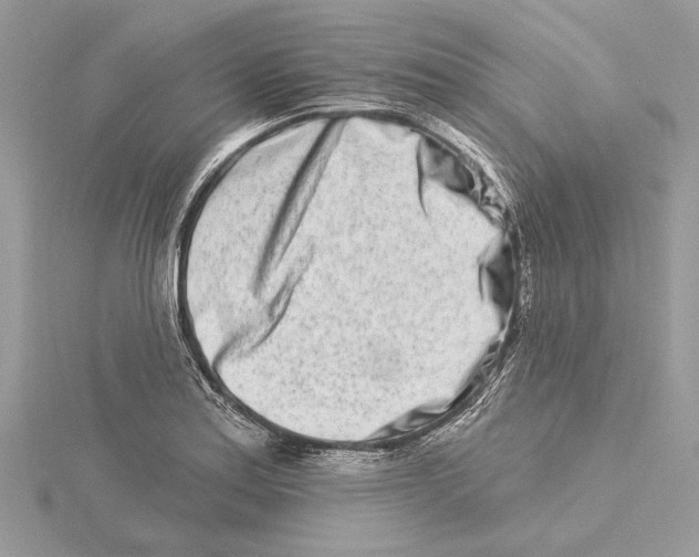 X0000115521179200912040922