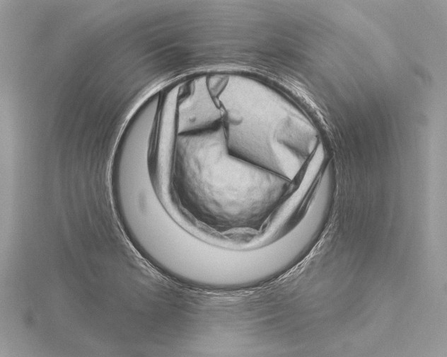 X0000115521181200912040922