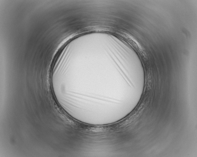 X0000115521182200912040922