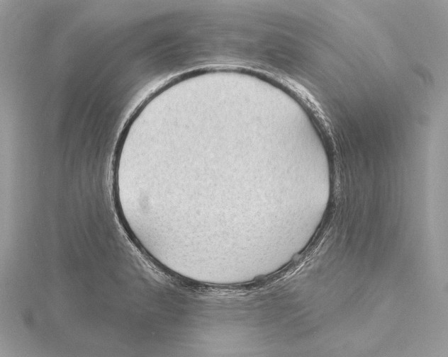 X0000115521183200912040922