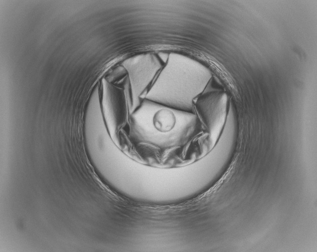 X0000115521185200912040922