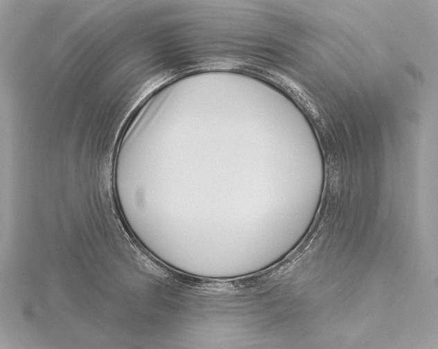 X0000115521186200912040922