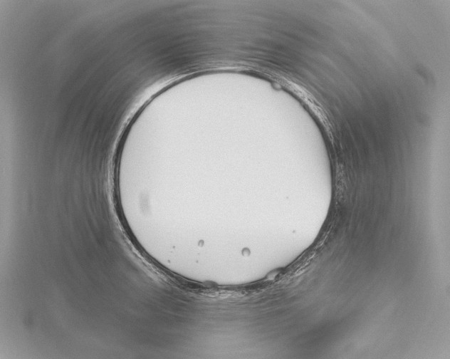 X0000115521187200912040922