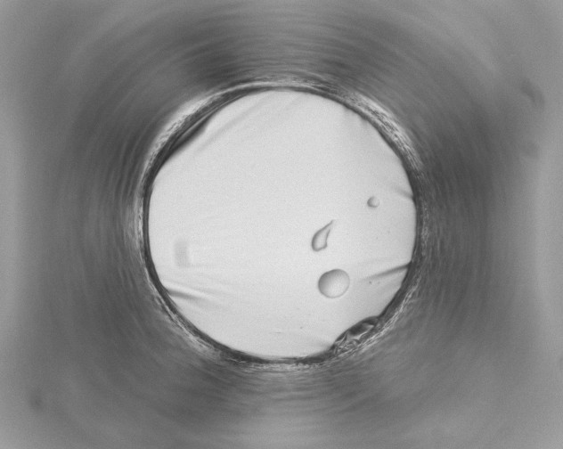 X0000115521188200912040922